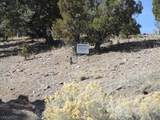  Nevada Hwy 322 (13.753 Ac) - Photo 10