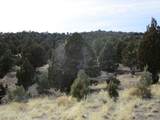  Nevada Hwy 322 (13.753 Ac) - Photo 11