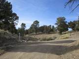  Nevada Hwy 322 (13.753 Ac) - Photo 4