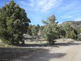  Nevada Hwy 322 (13.753 Ac) - Photo 5