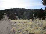  Nevada Hwy 322 (13.753 Ac) - Photo 7