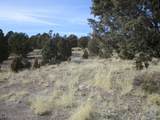  Nevada Hwy 322 (13.753 Ac) - Photo 8