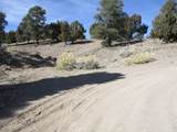  Nevada Hwy 322 (13.753 Ac) - Photo 9