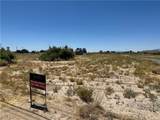 281 Mesquite Avenue - Photo 5