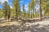  Lee Canyon Road - Photo 10