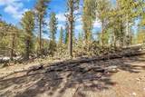  Lee Canyon Road - Photo 11