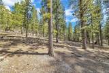  Lee Canyon Road - Photo 5