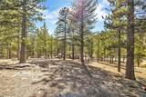  Lee Canyon Road - Photo 7