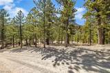  Lee Canyon Road - Photo 8