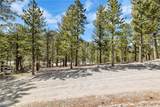  Lee Canyon Road - Photo 9