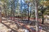 2154 Via Spes Nostra Street - Photo 6