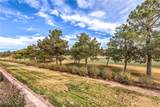 805 Dana Hills Court - Photo 34