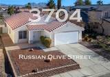 3704 Russian Olive Street - Photo 1