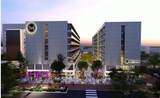 924 First Street - Photo 1