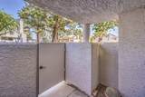 5655 Vineyard Lane - Photo 5