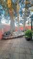 1825 Ann Greta Drive - Photo 25