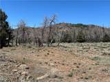 1210 Homestead Drive - Photo 4