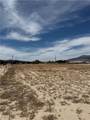 2420 Lola Lane - Photo 4