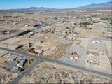 3150 Dandelion Street - Photo 2