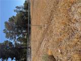 550 Cynthia Street - Photo 2