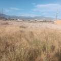 1771 Upland Avenue - Photo 4