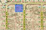 2050 Nightingale Avenue - Photo 1