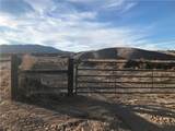  Quarter Horse - Photo 1