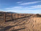  Quarter Horse - Photo 2