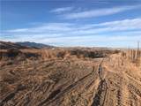  Quarter Horse - Photo 3