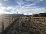  Quarter Horse - Photo 5