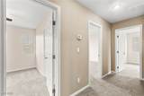 953 Noah Valley Street - Photo 41