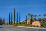 10241 Premia Place - Photo 90