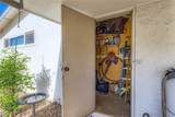 3569 Ruth Drive - Photo 53