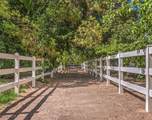 8213 Rancho Destino Road - Photo 27