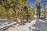 2130 Via Vita Street - Photo 12