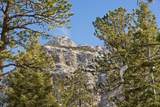2130 Via Vita Street - Photo 2