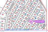 2130 Via Vita Street - Photo 3