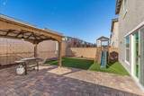 10417 Candelabra Cactus Street - Photo 48