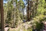  Apn 128-07-201-017 N Fork Deer Creek - Photo 39