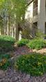2110 Los Feliz Street - Photo 4