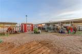 6681 Mustang Street - Photo 72