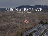 6180 Alpaca Avenue - Photo 12