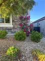 10438 Skye Arroyo Avenue - Photo 39