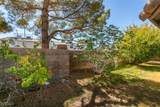 2859 Palleta Drive - Photo 45