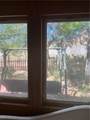 210 Cedar Street - Photo 24