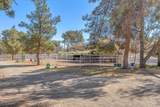 2868 Vista Del Sol Avenue - Photo 67