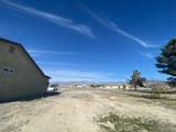 2101 Dandelion Street - Photo 48