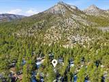 2209 Via Spes Nostra Street - Photo 17
