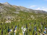 2209 Via Spes Nostra Street - Photo 19