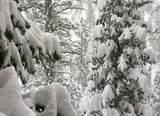 2209 Via Spes Nostra Street - Photo 28